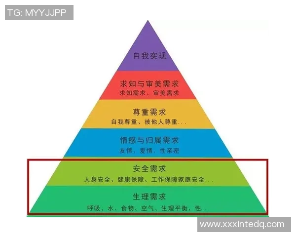 南京排球队的运营体系与战术创新探索之路