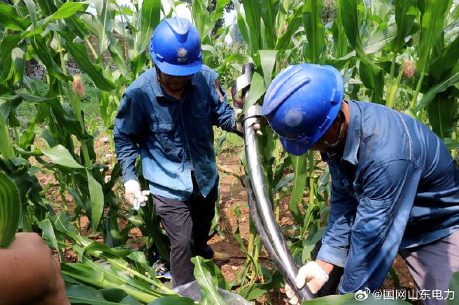 高温下的守护 垛庄镇涉农企业变压器增容纪实